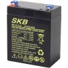 BATTERIA PIOMBO RICARICABILE SKB 12V 2,9Ah FASTON 4,8
